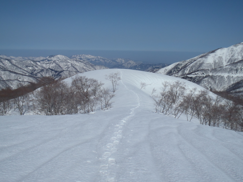 f:id:inutarou2525:20130309140306j:image:w640 f:id:inutarou2525:20130309140306j:image:w640