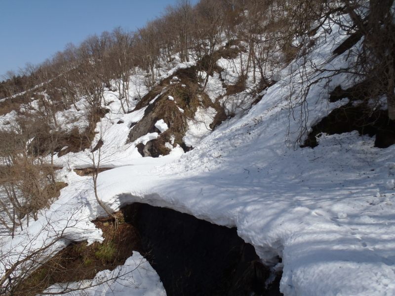 f:id:inutarou2525:20130309140428j:image:w640 f:id:inutarou2525:20130309140428j:image:w640