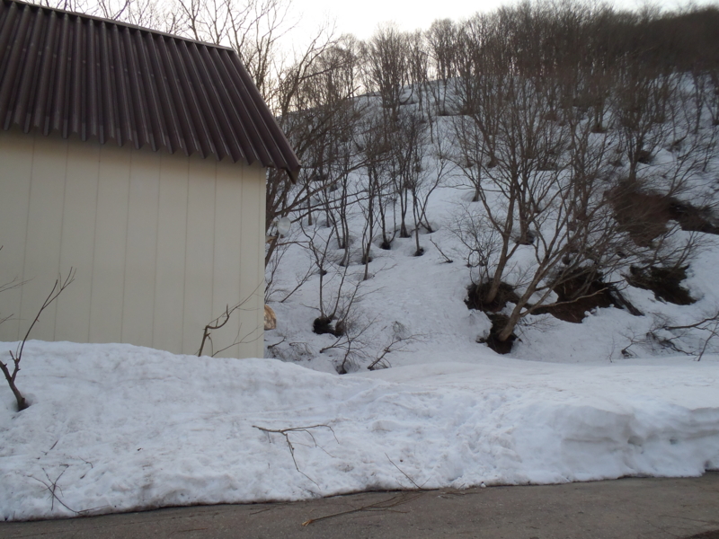 f:id:inutarou2525:20130324071322j:image:w640 f:id:inutarou2525:20130324071322j:image:w640