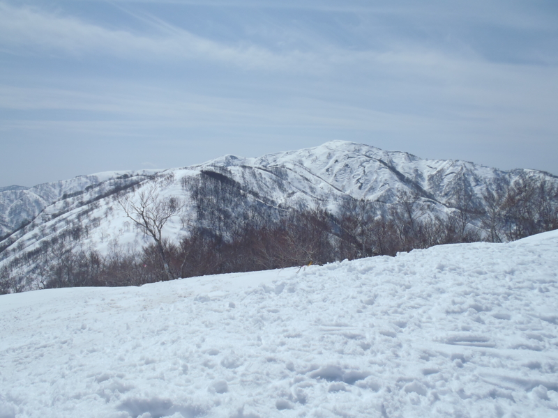 f:id:inutarou2525:20130324113125j:image:w640 f:id:inutarou2525:20130324113125j:image:w640