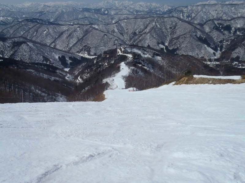 f:id:inutarou2525:20130324120136j:image:w640 f:id:inutarou2525:20130324120136j:image:w640