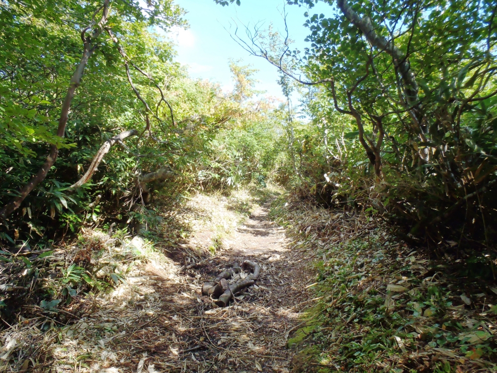 f:id:inutarou2525:20130921151855j:image:w640 f:id:inutarou2525:20130921151855j:image:w640
