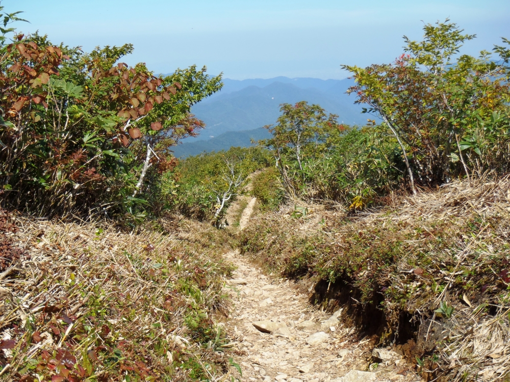 f:id:inutarou2525:20130921153449j:image:w640 f:id:inutarou2525:20130921153449j:image:w640