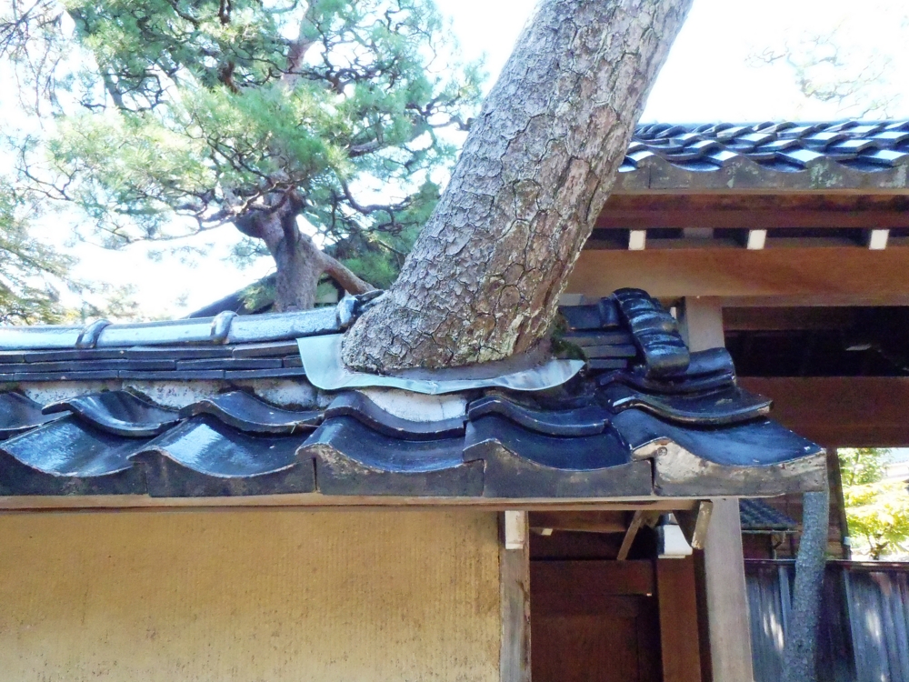 f:id:inutarou2525:20130929183610j:image:w640 f:id:inutarou2525:20130929183610j:image:w640