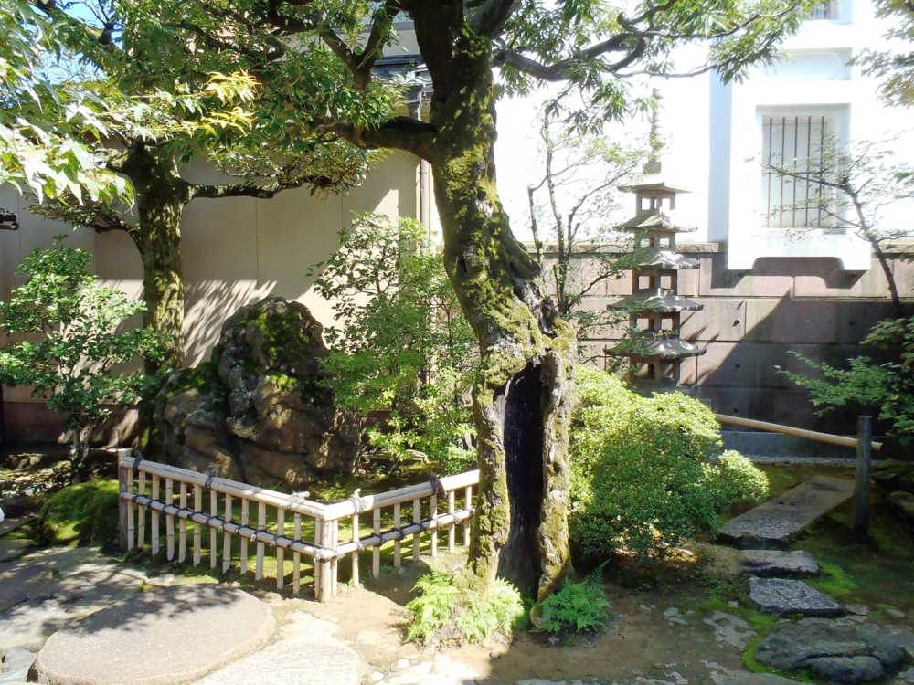 f:id:inutarou2525:20130929185116j:image:w640 f:id:inutarou2525:20130929185116j:image:w640