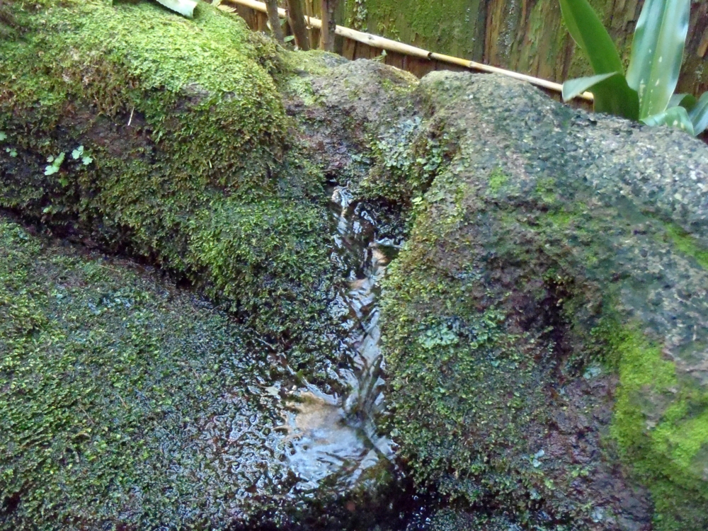 f:id:inutarou2525:20130929191819j:image:w640 f:id:inutarou2525:20130929191819j:image:w640