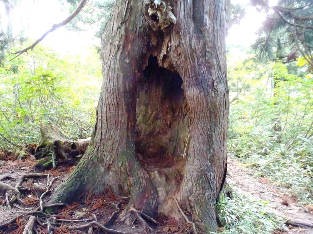f:id:inutarou2525:20131013135051j:image:w640 f:id:inutarou2525:20131013135051j:image:w640