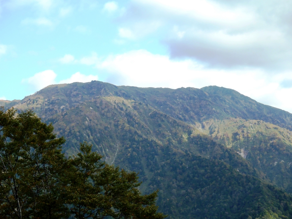 f:id:inutarou2525:20131013135540j:image:w640 f:id:inutarou2525:20131013135540j:image:w640