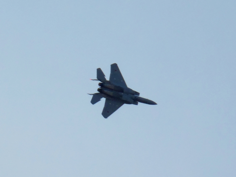 f:id:inutarou2525:20131124195228j:image:w640 f:id:inutarou2525:20131124195228j:image:w640