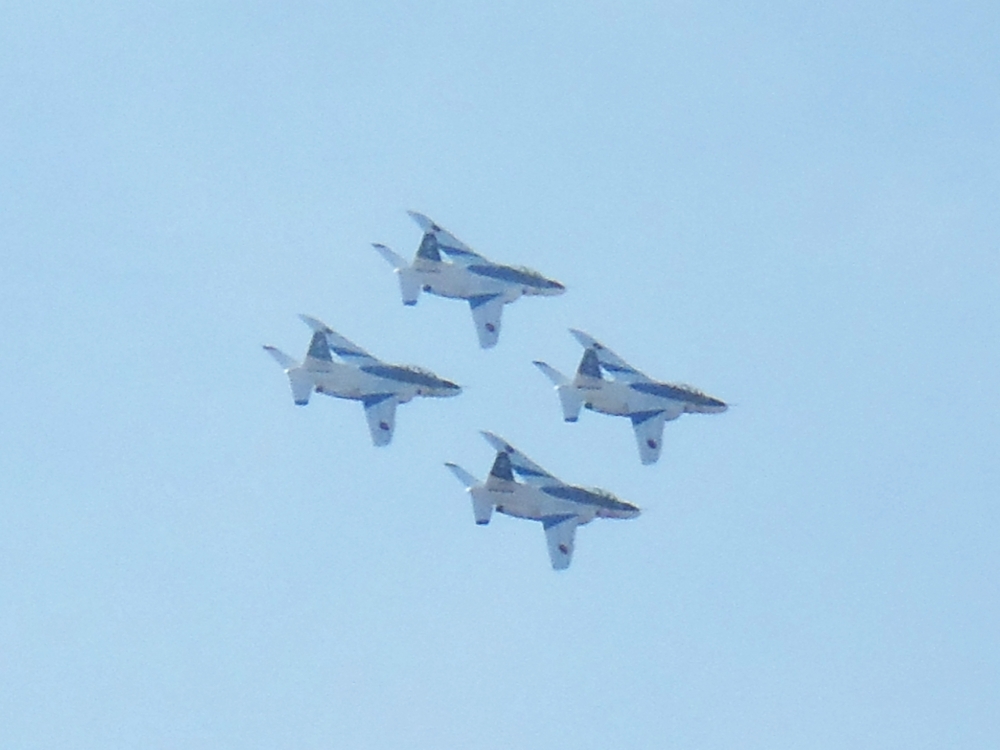 f:id:inutarou2525:20131124200530j:image:w640 f:id:inutarou2525:20131124200530j:image:w640