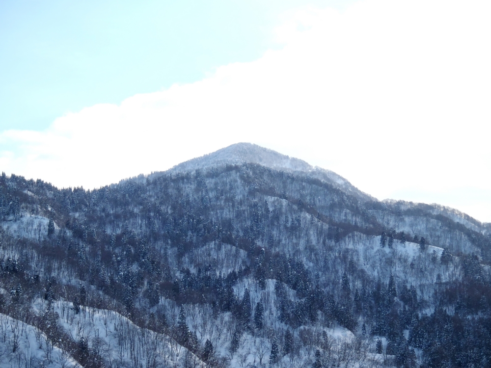 f:id:inutarou2525:20140223144140j:image:w640 f:id:inutarou2525:20140223144140j:image:w640