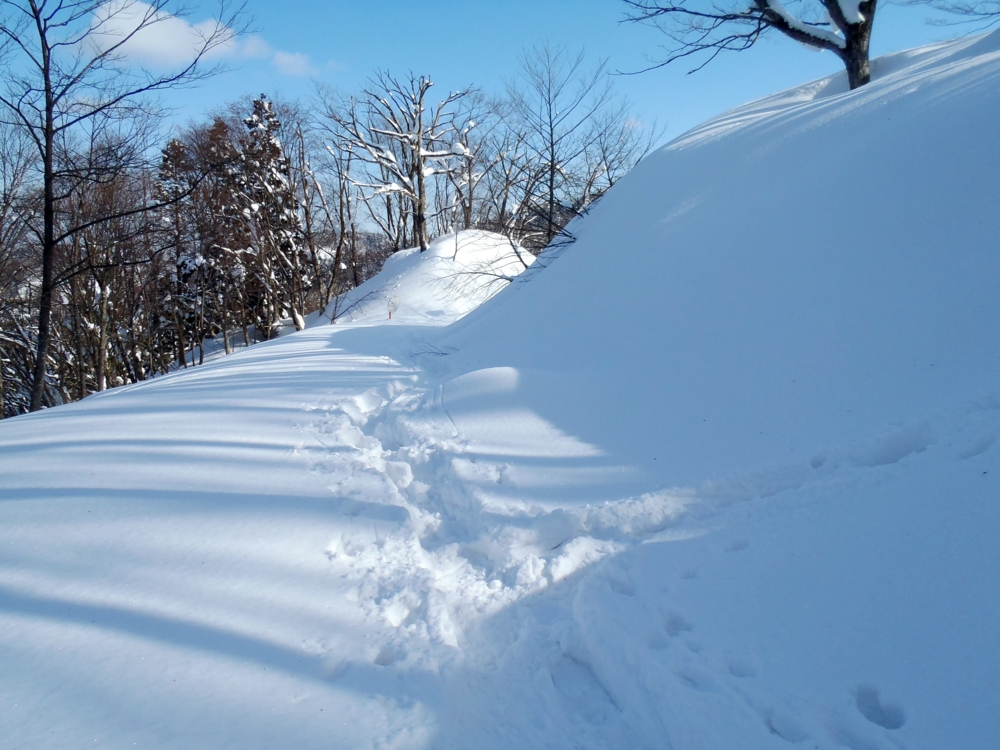 f:id:inutarou2525:20140223144248j:image:w640 f:id:inutarou2525:20140223144248j:image:w640