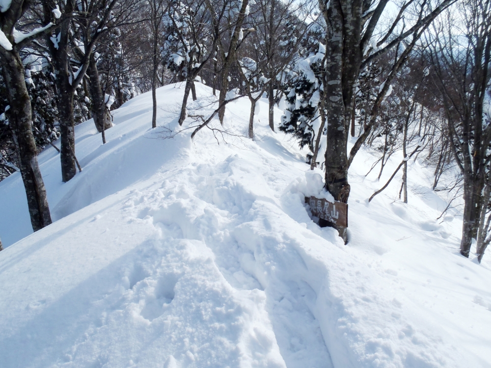 f:id:inutarou2525:20140223144349j:image:w640 f:id:inutarou2525:20140223144349j:image:w640