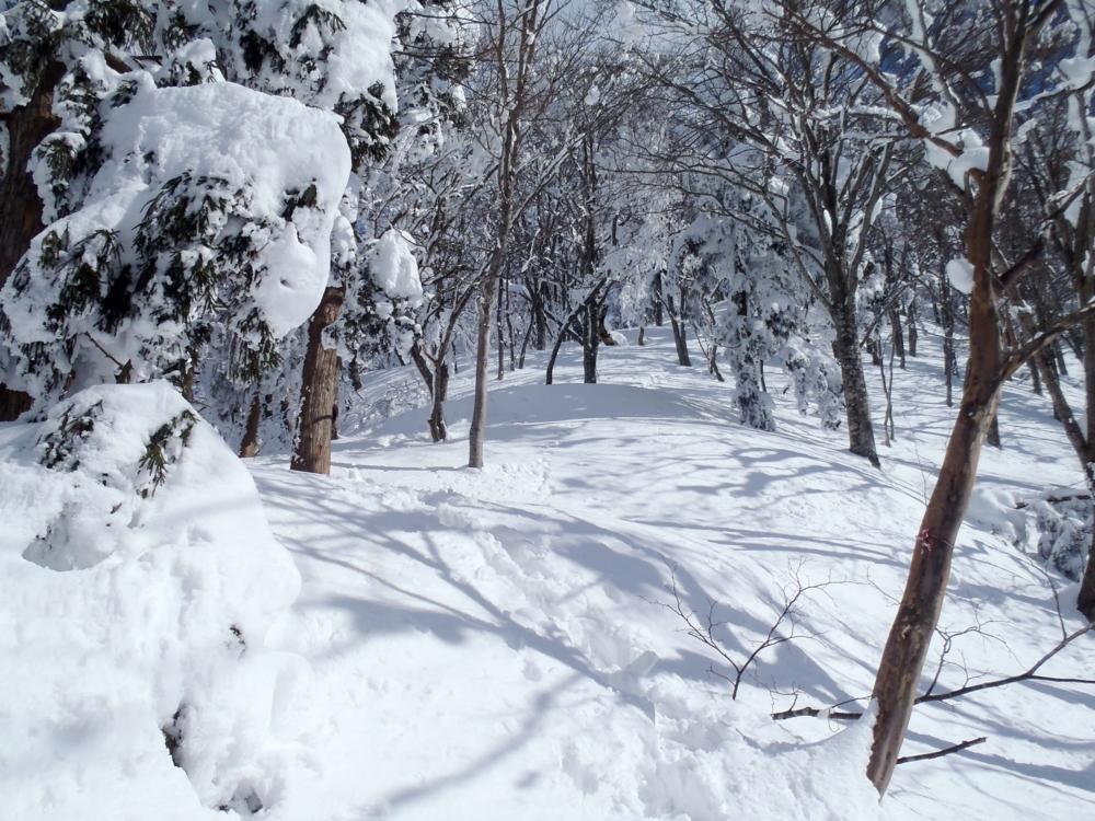f:id:inutarou2525:20140223144455j:image:w640 f:id:inutarou2525:20140223144455j:image:w640