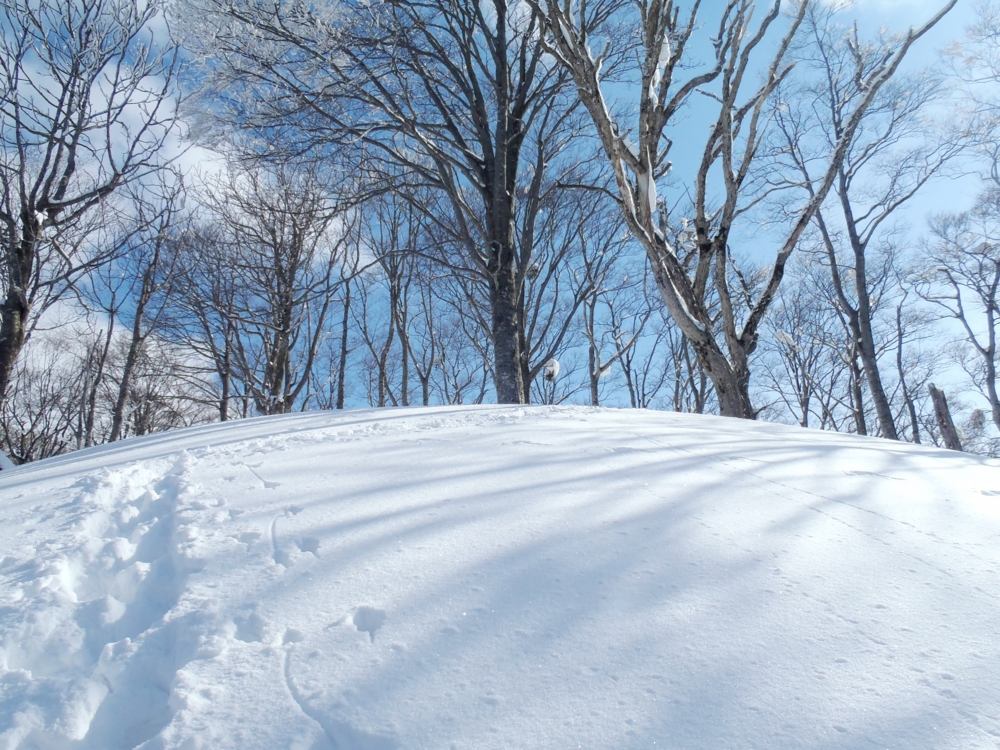 f:id:inutarou2525:20140223144544j:image:w640 f:id:inutarou2525:20140223144544j:image:w640