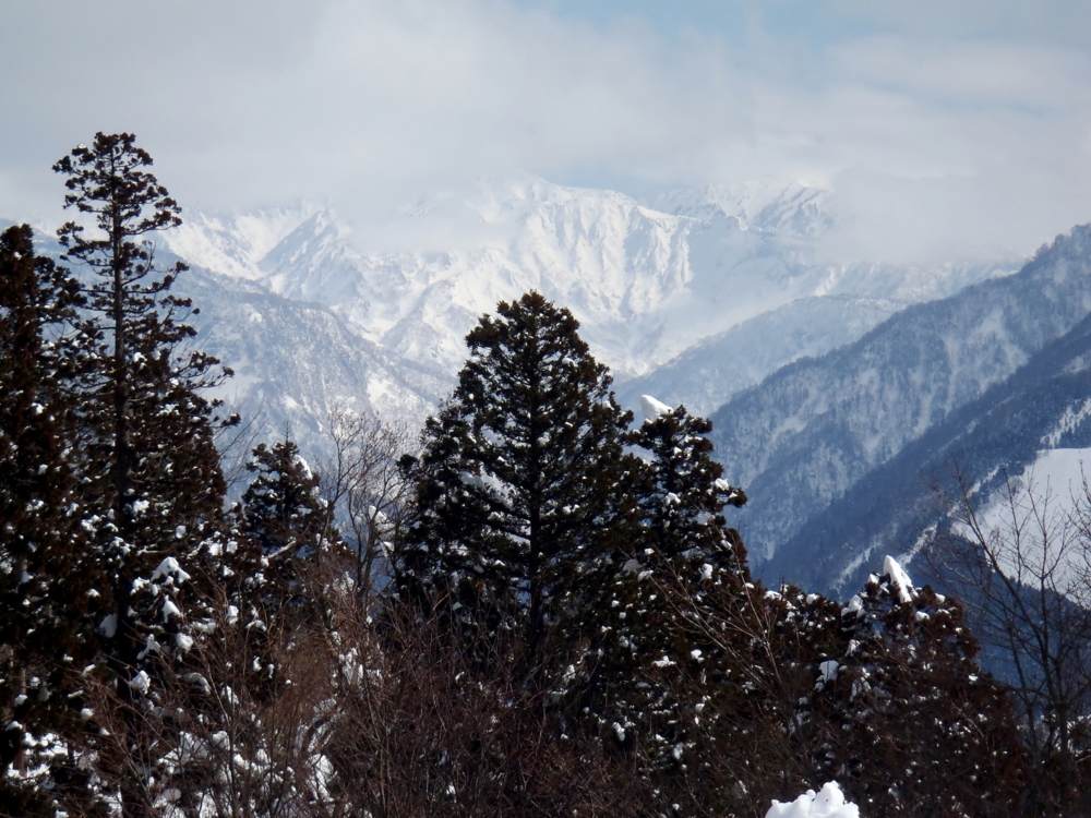 f:id:inutarou2525:20140223144951j:image:w640 f:id:inutarou2525:20140223144951j:image:w640