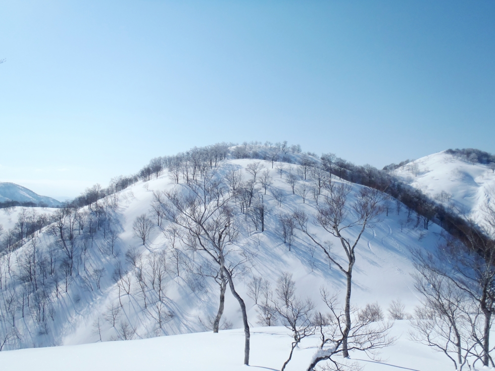 f:id:inutarou2525:20140323184747j:image:w640 f:id:inutarou2525:20140323184747j:image:w640