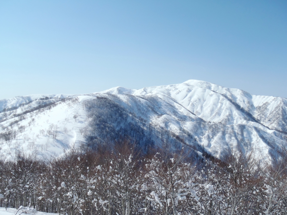 f:id:inutarou2525:20140323184929j:image:w640 f:id:inutarou2525:20140323184929j:image:w640