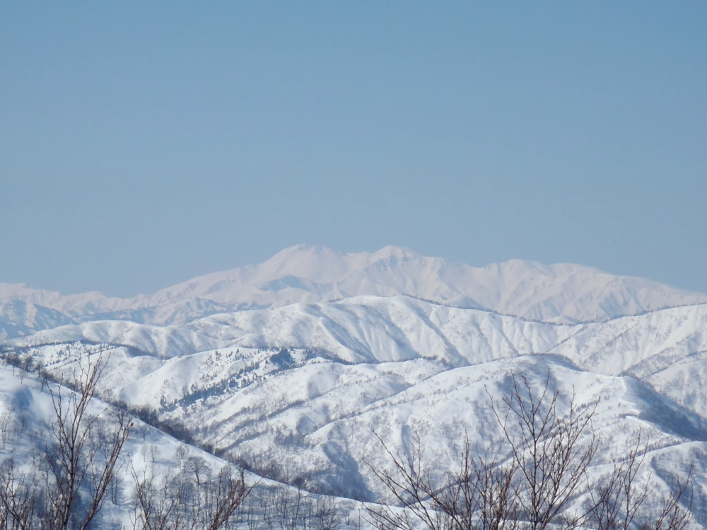 f:id:inutarou2525:20140323185306j:image:w640 f:id:inutarou2525:20140323185306j:image:w640