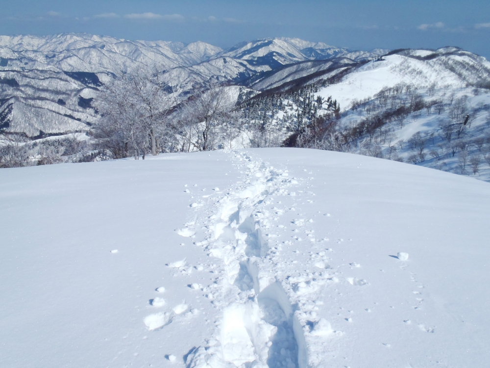 f:id:inutarou2525:20140323185407j:image:w640 f:id:inutarou2525:20140323185407j:image:w640