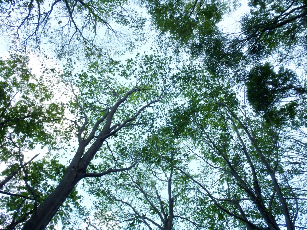 f:id:inutarou2525:20140928135846j:image:w640 f:id:inutarou2525:20140928135846j:image:w640