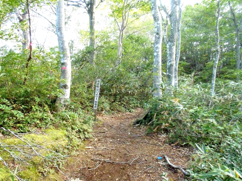 f:id:inutarou2525:20140928135948j:image:w640 f:id:inutarou2525:20140928135948j:image:w640