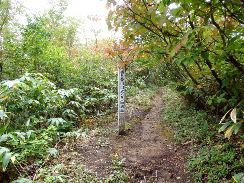 f:id:inutarou2525:20140928140339j:image:w640 f:id:inutarou2525:20140928140339j:image:w640