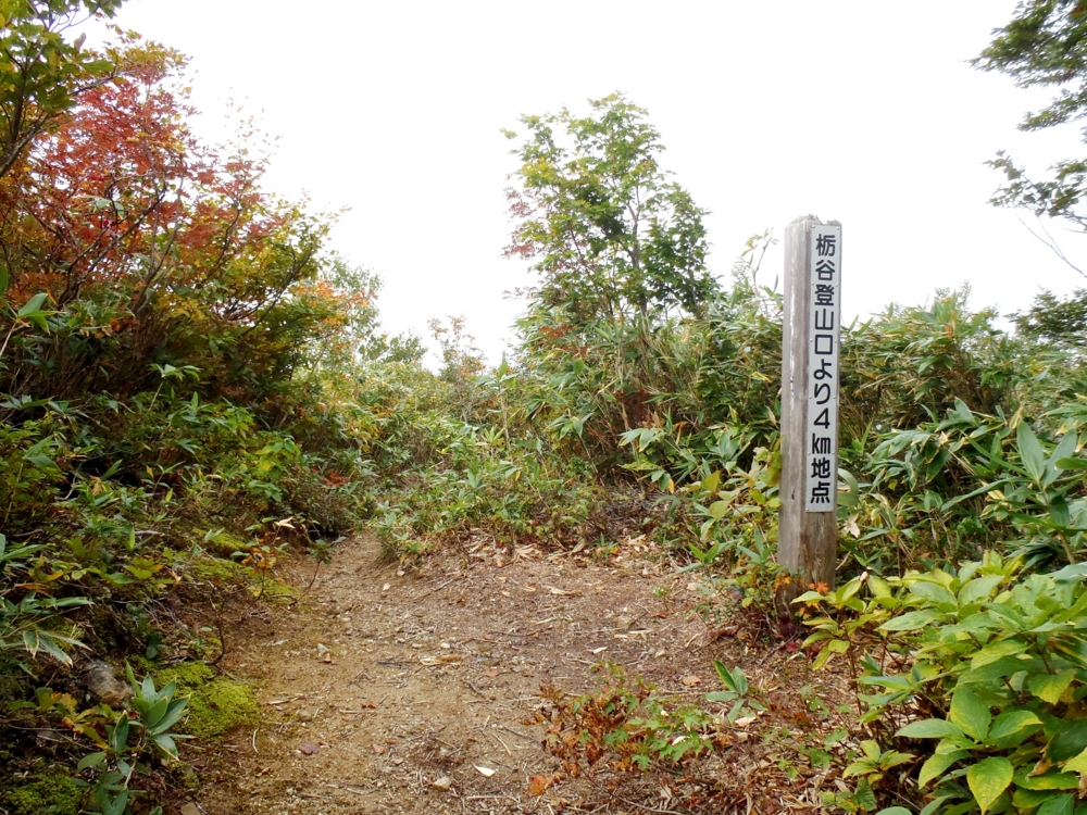 f:id:inutarou2525:20140928140528j:image:w640 f:id:inutarou2525:20140928140528j:image:w640