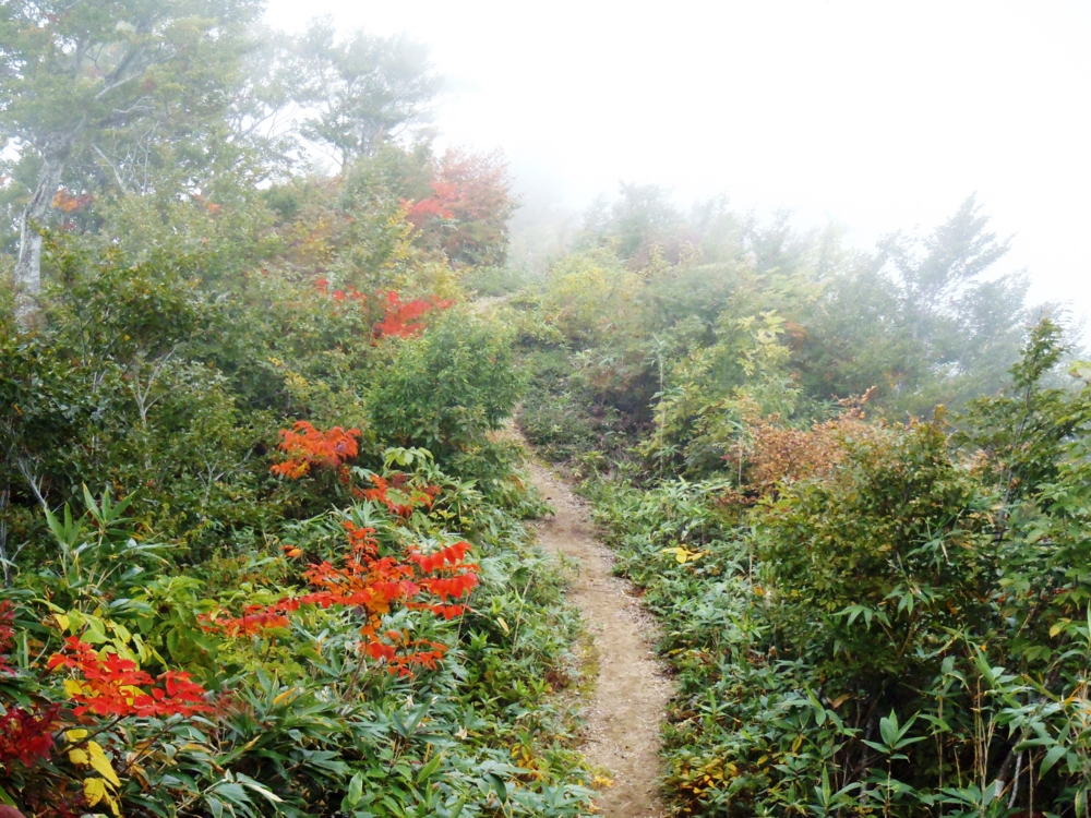 f:id:inutarou2525:20140928140856j:image:w640 f:id:inutarou2525:20140928140856j:image:w640