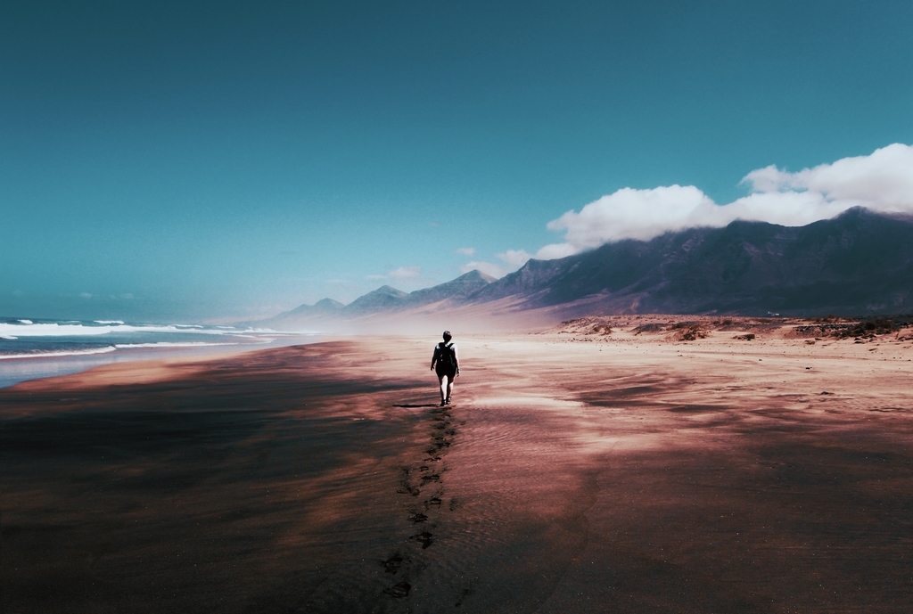 f:id:inutarox:20190207033605j:plain f:id:inutarox:20190207033605j:plain