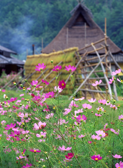 f:id:inuwan33:20110811222255j:image