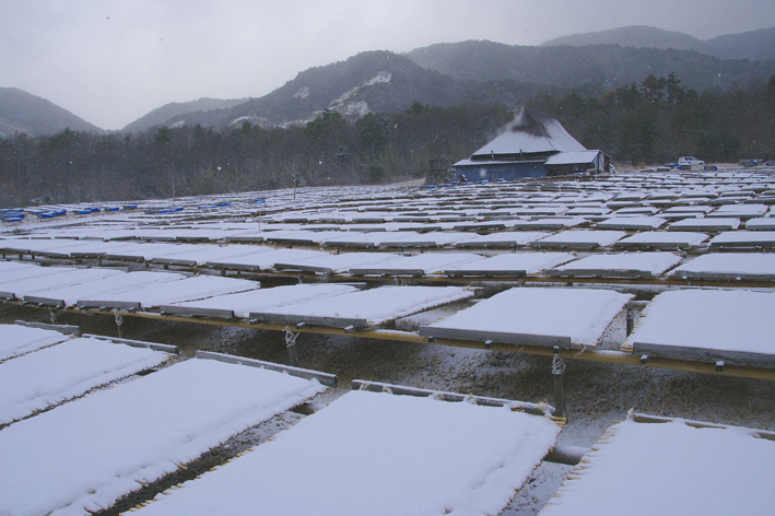 f:id:inuwan33:20120202152201j:image