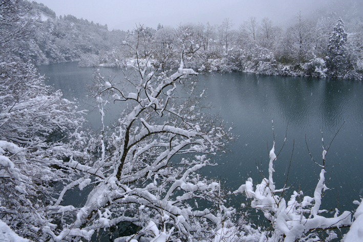 f:id:inuwan33:20120218132530j:image