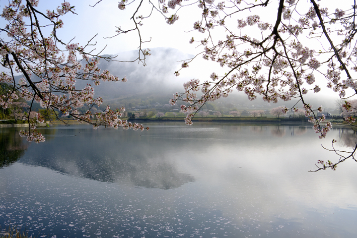 f:id:inuwan33:20120417084332j:image:w640