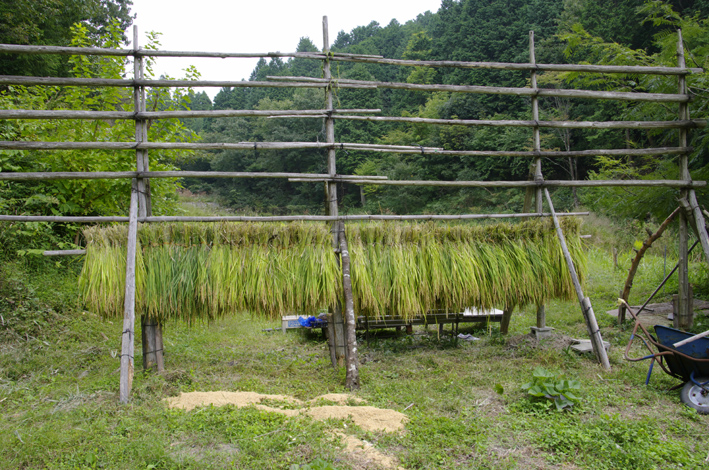 f:id:inuwan33:20120929151642j:image