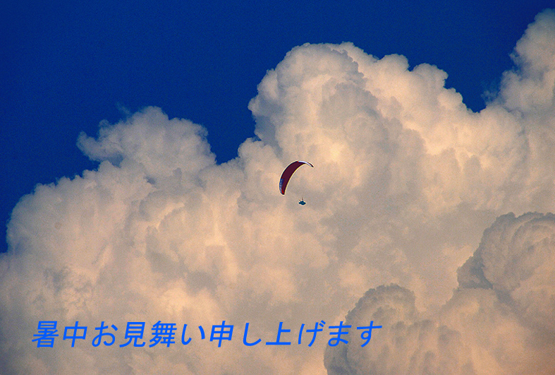 f:id:inuwan33:20130816163853j:image