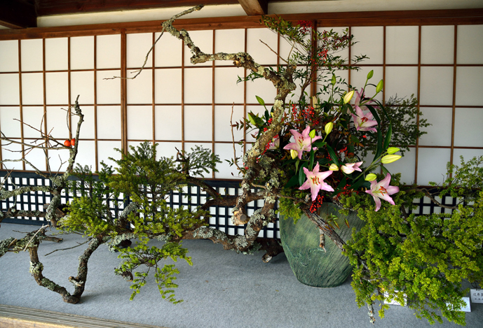 f:id:inuwan33:20131116110531j:image f:id:inuwan33:20131116110531j:image