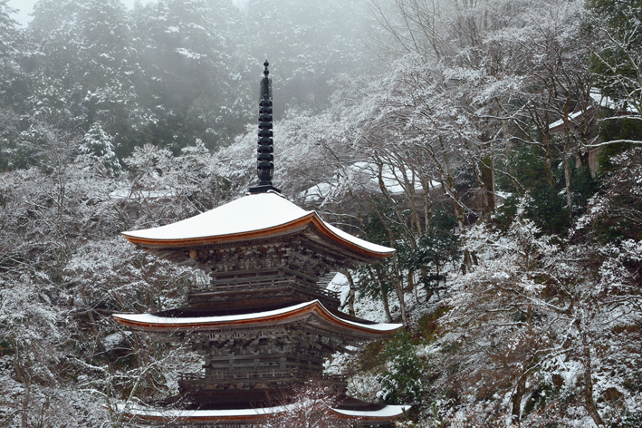 f:id:inuwan33:20140107181447j:image f:id:inuwan33:20140107181447j:image