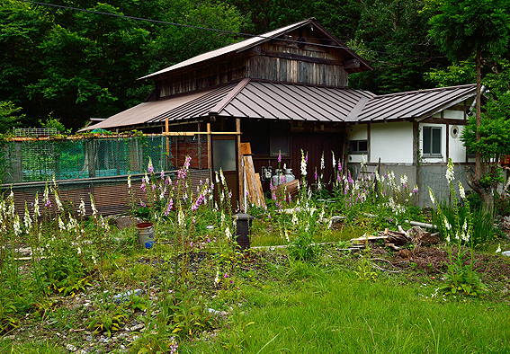 f:id:inuwan33:20140627151321j:image