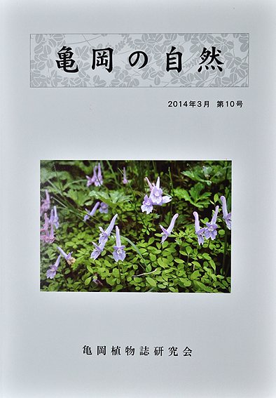 f:id:inuwan33:20140628210754j:image