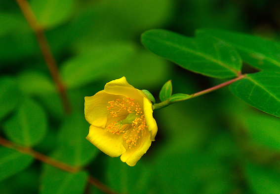 f:id:inuwan33:20140704104147j:image f:id:inuwan33:20140704104147j:image