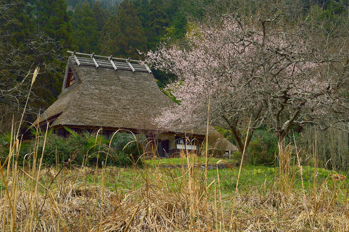 f:id:inuwan33:20150321080358j:image