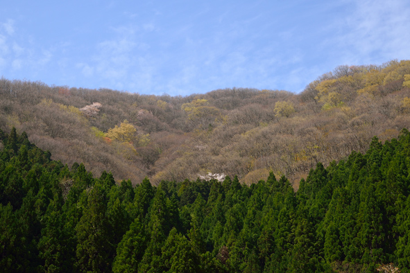 f:id:inuwan33:20150427090443j:image:w640