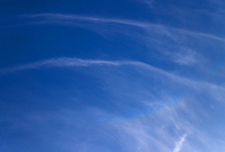 f:id:inuwan33:20150527181005j:image:w640