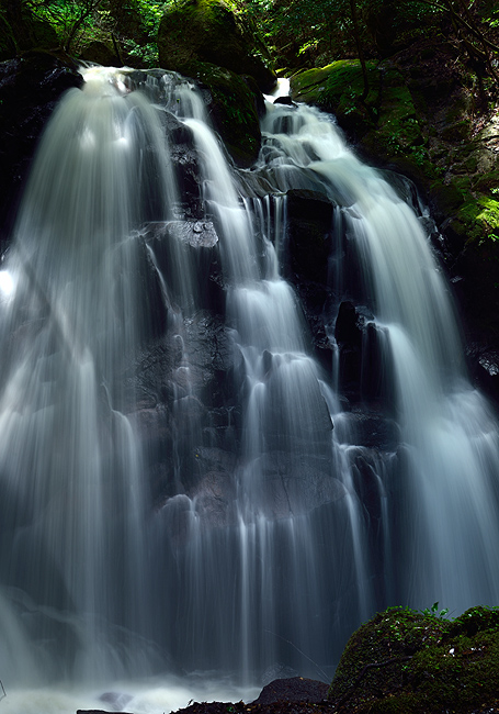 f:id:inuwan33:20150720213734j:image:w500