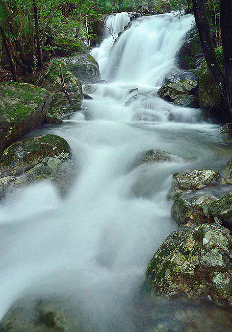 f:id:inuwan33:20150720232354j:image:w500