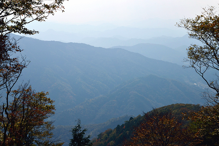 f:id:inuwan33:20151030120432j:image:w640