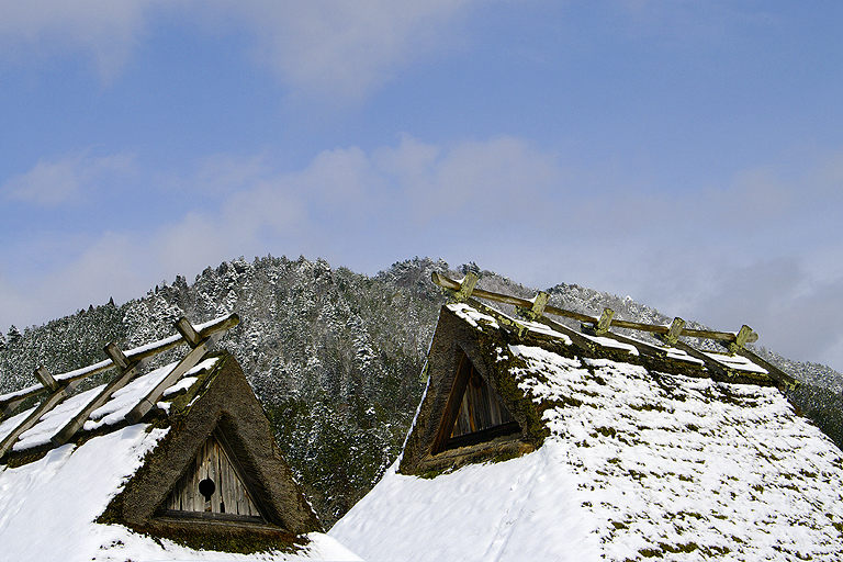 f:id:inuwan33:20160130153314j:image:w640