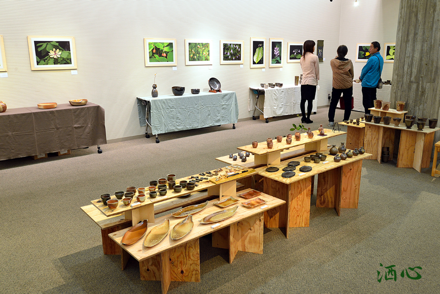 f:id:inuwan33:20190405123344j:plain