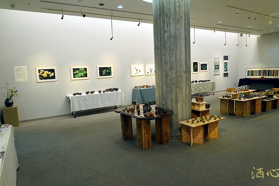 f:id:inuwan33:20190405161114j:plain